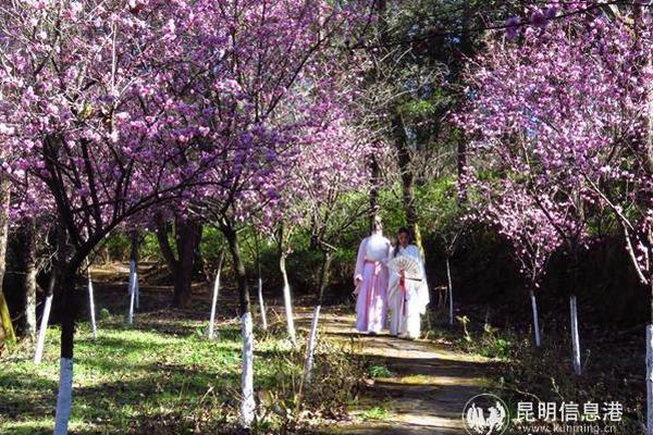 【西甲联赛】巴萨前锋法蒂左膝内侧半月板撕裂